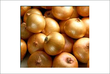 Onion  Made in Korea